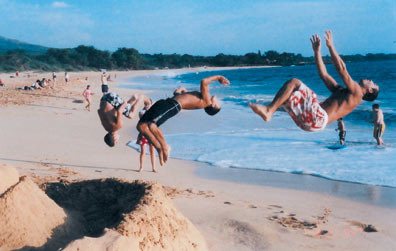 Back-flipping Beach Boys by Marcia Streich