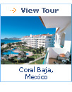 Coral Baja, Mexico