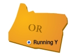 Running Y, OR